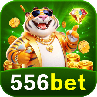 556bet Gaming Experience